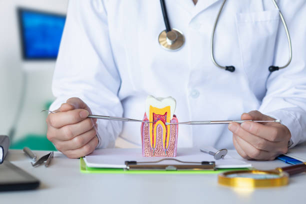 Best Emergency Root Canal Treatment in Wesleyville, PA